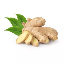 Zenzero radici fresche - 500g  - Italia Spezie®