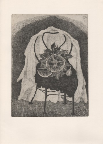 Giuseppe viviani cocomero - viviani,