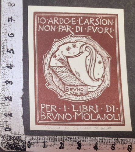 Wunderkammer exlibris 344 - exlibris,