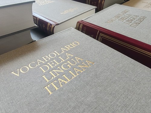 Treccani vocabolario della - -,