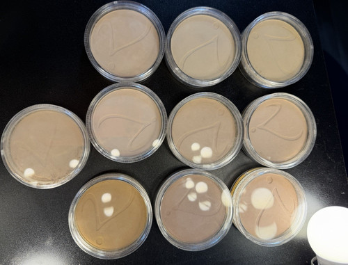 Jane iredale purepressed base - jane,