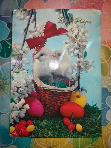 Cartolina buona pasqua - buona, non