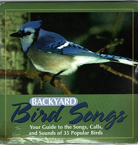 Backyard bird songs john - bird, ~