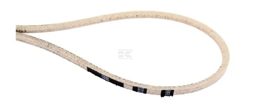 Cinghia trapezoidale