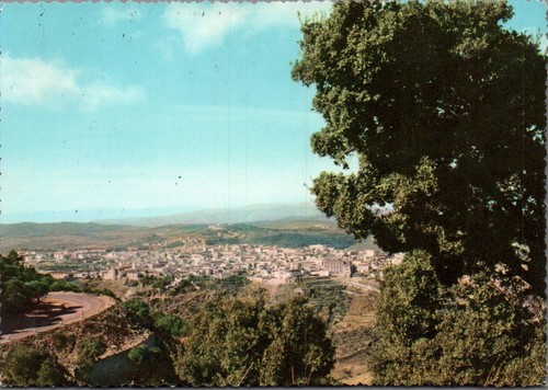Nuoro panorama grande - panorama,