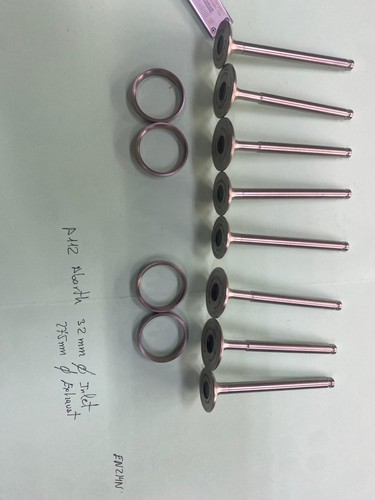 Full set valves - a112, abarth
