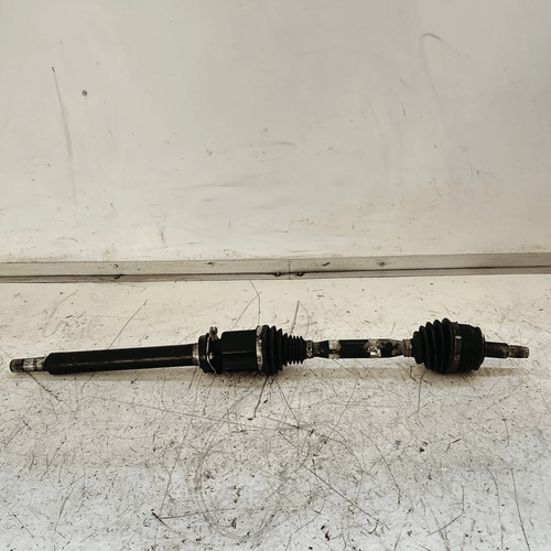50546426 semialbero ant - semialbero,