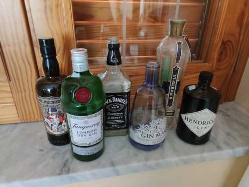 Bottiglia salvadanaio gin - bottiglia,