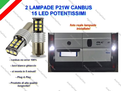 Coppia lampade retromarcia - lampade,