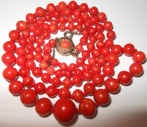 Elegante collana corallo - di,