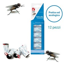 Trappola Adesiva Insetti
