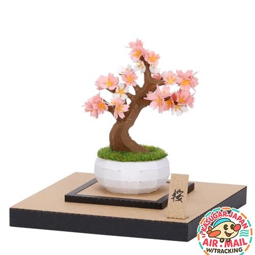 Bonsai carta kawada - carta, nano