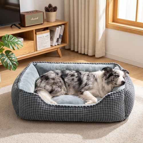 Cuccia cane interno - cuccia,