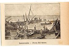 Stampa antica TONNARA pesca del tonno presso Trapani Sicilia 1905 Old print