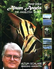 Altum Angels - The Angelfish