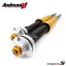 Andreani cartucce forcella