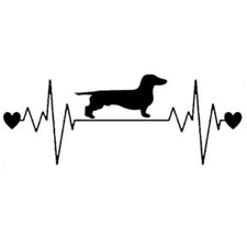 Adesivo per auto moto