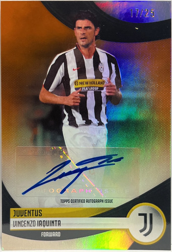 Vincenzo iaquinta 25 - vincenzo, 17/25