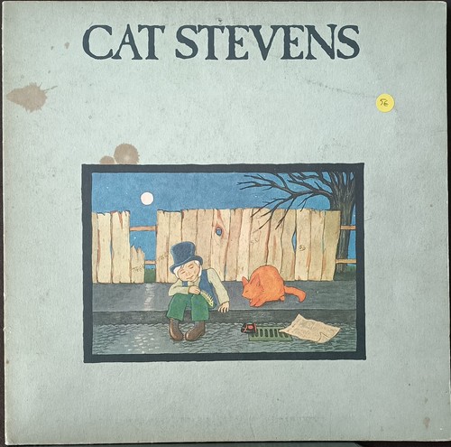Cat stevens teaser - cat,