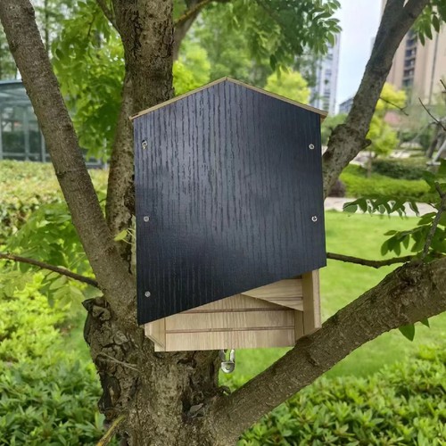 Bat house kit - bat, box