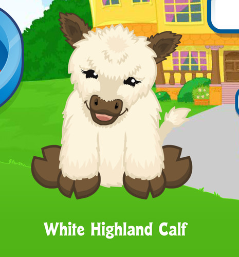 Webkinz vitello bianco