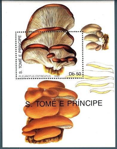 San tome 1990 funghi - bf,
