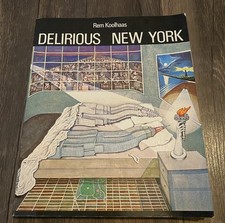 Delirious new york rem - york,