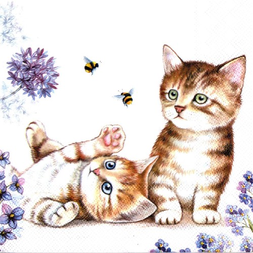 Serviettes papier chat - serviettes, en
