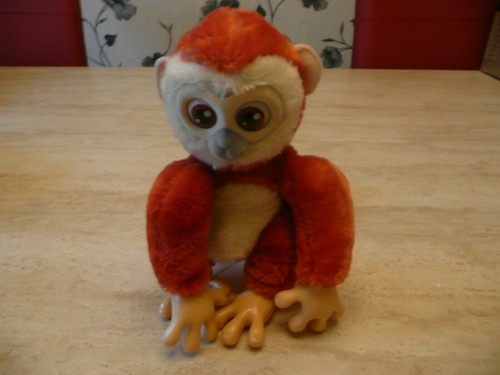 Emotion pets coco - pets,