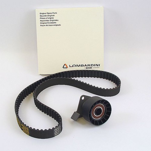 Cinghia distribuzione rullo - cinghia,