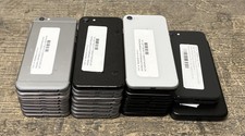 Lot of 31 Assorted Apple