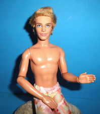 %***Barbie Fashionistas