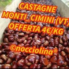 4_KG CASTAGNE CANEPINESI  MEDIO_GRANDE 2025