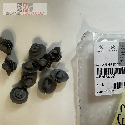 Fodera cuscino 0000185656241 - cuscino,