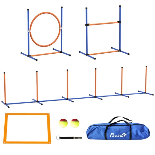 Set agility dog con anello - agility,