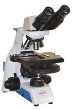 Brightfield Fase Contrasto