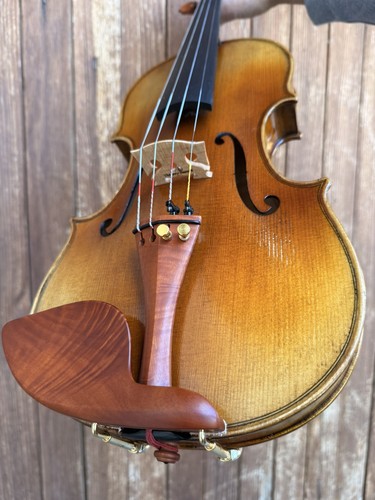 Violon guarneri prêt à - violon, 4/4