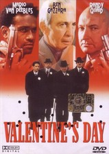DVD Valentine's day ITA usato