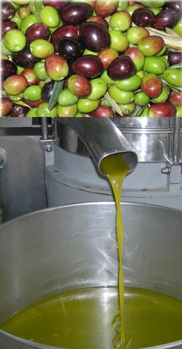 Olio extravergine oliva - olio, di