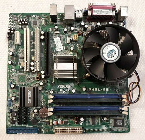 Scheda madre olidata asus - scheda,