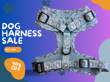 🐶🐾Imbracatura per Cani