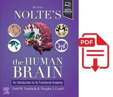 NOLTE'S IL CERVELLO UMANO