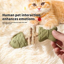 Fix Your Cat’s Dental