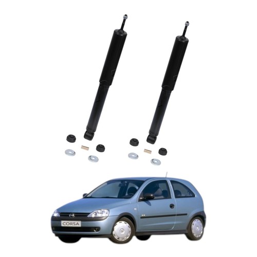 Set ammortizzatori - set, 2