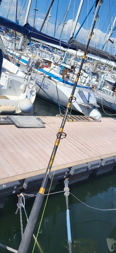 Canna pesca - da,