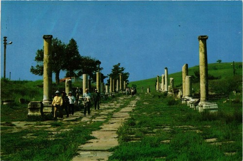 Cpm bergama via tecta - tecta,