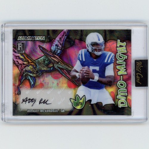 2023 wild card allumination - 2023,