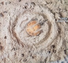 LP 33 Giusto Pio – Utopie