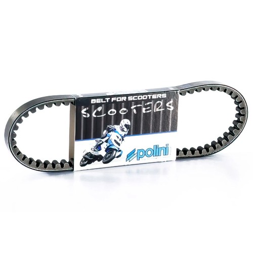 Cinghia variatore polini - cinghia,