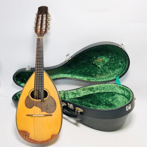 Mandolino suzuki 30 - mandolino,